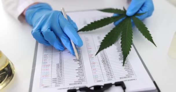 Tudós Dolgozik Laboratóriumi Tanulmányok Marihuána Olajok Jelentést Kannabisz Laboratóriumi Orvosi — Stock videók