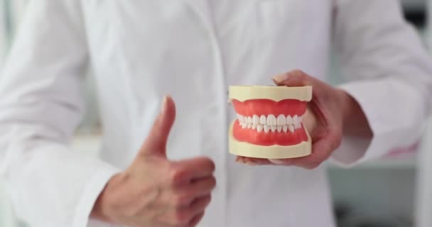 在临床上 口腔科医生举着健康的塑料下颌骨模型 以表示对牙科治疗的认可 健康的牙齿和口腔 — 图库视频影像