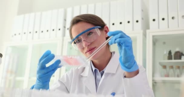 研究分野の女性労働者は オフィスの職場に座っているガラスの標本を調べる 化学は実験室の遅い動きの発見を作ります — ストック動画
