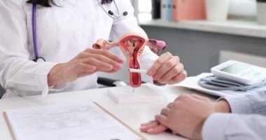 Kadın doktor, hastayla buluşurken tütün ürünlerine zarar verdiğini gösteren kadın organı modeline karşı sigarasını yakıyor. Klinikteki kötü etki açıklamaları