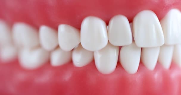 人工顎に正しい噛み傷を持つ白い美しい歯でさえ 歯科医院サービスコンセプト — ストック動画