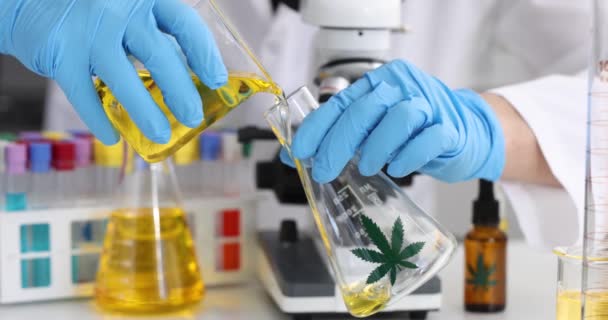 实验室科学家把大麻油倒入烧杯 大麻化学研究概念 — 图库视频影像