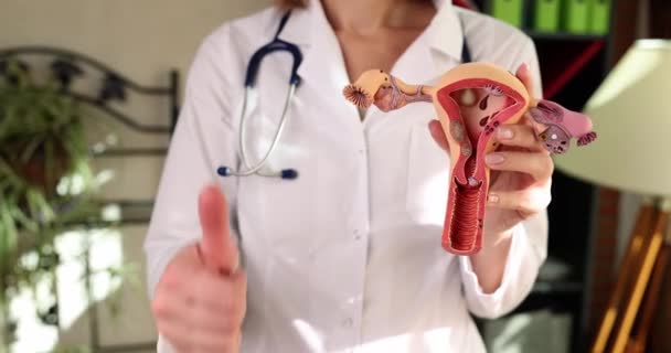 Doctor Shows Anatomical Model Female Reproductive Organs Close Women Health — Stok video
