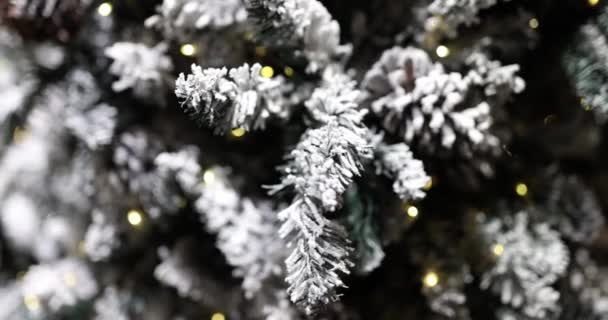 Takken Dennenhout Sneeuw Close Sprankelende Gloeilampen Een Kerstboom Winter Veel — Stockvideo