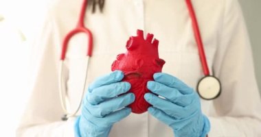 Eldivenli kardiyolog kalp taklidi yapıyor. Kalp nakli kavramı
