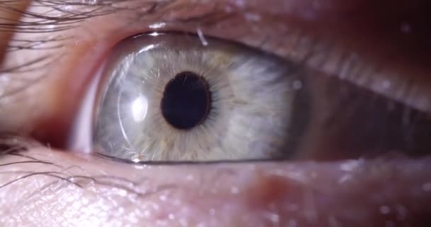 Открытый Человеческий Глаз Серо Зеленым Зрачком Концепция Vision Test — стоковое видео