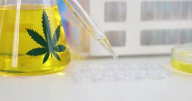 Bilim adamları kimyagerin kimyasal tabağa sarı kenevir yağı damlatarak 4K 'lık yakın çekim filmini yavaş çekiyorlar. Yasadışı uyuşturucu üretimi