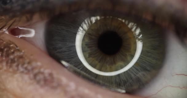 Κοντινό Πλάνο Του Όμορφου Γκρι Πράσινο Γυναικείο Μάτι Ταινία Έννοια — Αρχείο Βίντεο
