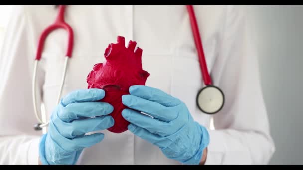 Kobieta Lekarz Trzyma Czerwone Sztuczne Serce Makiety Dłoniach Zbliżenie Film — Wideo stockowe
