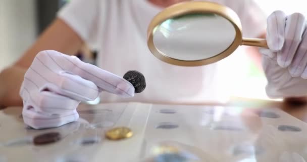 Numismatist Examines Collection Coins Magnifying Glass Collecting Valuing Coins — Vídeos de Stock