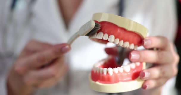 歯医者の手は歯を磨く規則を示す 歯ブラッシングと口腔衛生 — ストック動画
