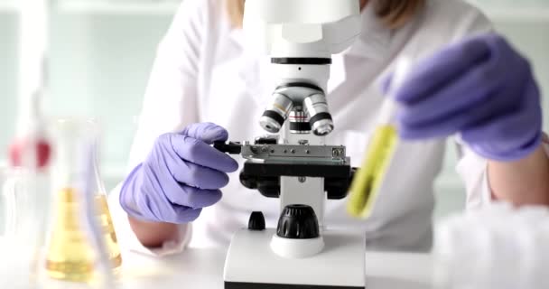 科学家生物学家调整显微镜检查有毒液体 化学和生物研究的显微镜使用规则和准确性 — 图库视频影像