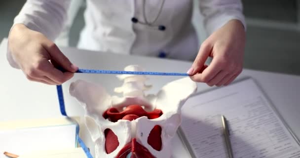 婦人科医は骨盤骨をテープで測定します 骨盤の平面と寸法と妊娠 — ストック動画