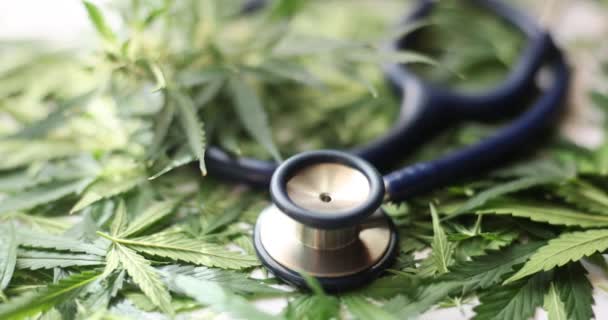 Beneficios Daños Hoja Marihuana Estetoscopio Del Cannabis Tetrahidrocannabinol Efecto Droga — Vídeo de stock