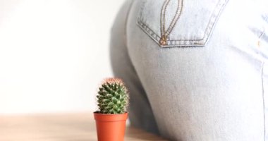 Female butt in jeans sitting on cactus closeup 4k movie slow motion. Diagnosis and treatment of hemorrhoids and rectal fissure concept