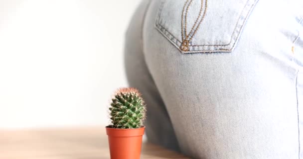 Female Butt Jeans Sitting Cactus Closeup Movie Slow Motion Diagnosis — Video