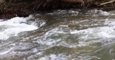 Küçük dağ nehrinde akan temiz suyun yakınına. Soğuk dağ nehri kavramının hızlı akışı