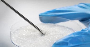 Scientist chemist taking sugar from petri dish with chemical spoon closeup 4k movie slow motion. Development of sweeteners and laboratory quality control of food products concept