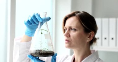 Bilim adamı botanikçi, laboratuvar 4k filminde kimyasal şişede filizlenen yeşil bitkiye bakıyor. Genetik mühendisliği yeni bitki çeşitleri üretiyor.