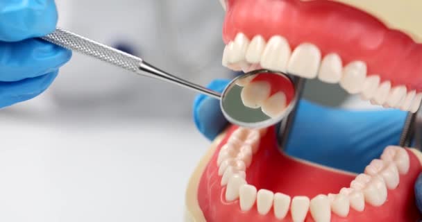 Zubař Dívá Zubního Zrcátka Zuby Umělém Modelu Lidské Čelisti Detailní — Stock video
