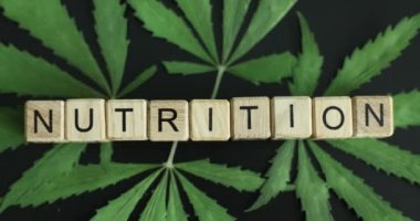 Yeşil marihuana üzerindeki ahşap küplerdeki kelime besin değeri 4K filmi yavaşlatıyor. Kenevir konseptine dayalı beslenme takviyeleri