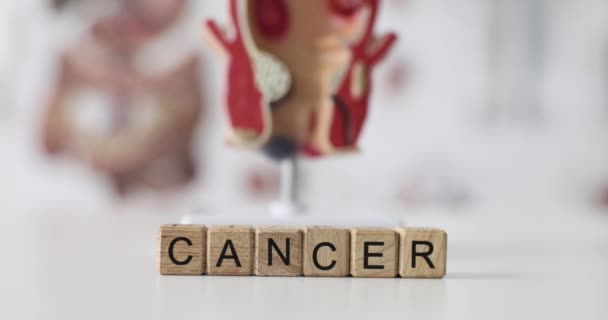 木方块上的卵巢癌背景是直肠4K膜解剖模型 直肠癌和大肠癌的诊断与治疗 — 图库视频影像