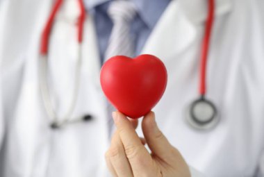 Kardiyolog kırmızı oyuncak kalbi yakından tutuyor. Doktor kardiyoterapist ve kardiyovasküler hastalık tedavisi