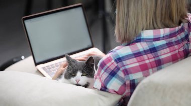 Kadın dizüstü bilgisayarda kedisiyle koltukta çalışıyor. Serbest çalışma ya da evcil hayvanlarla internet sörfü