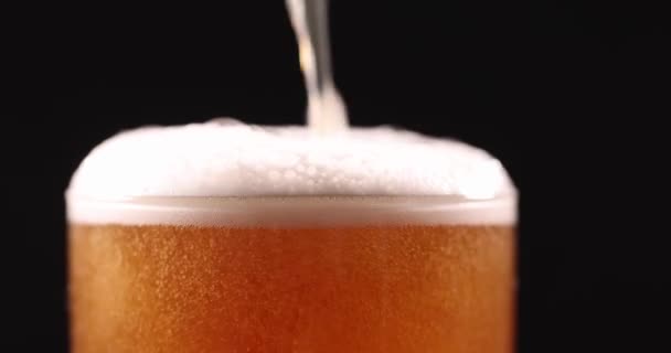Bière Avec Mousse Blanche Versant Dans Gobelet Verre Gros Plan — Video