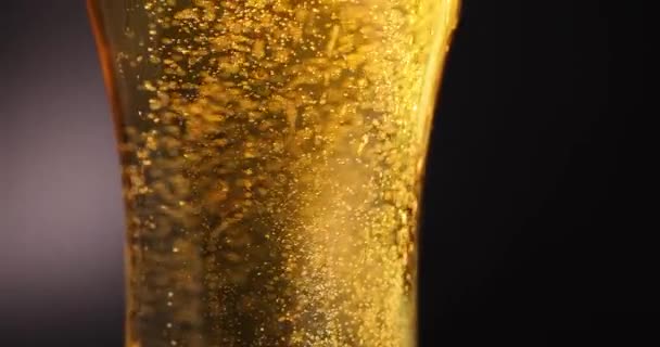 Bebida Dourada Amarela Transparente Com Bolhas Espuma Vidro Conceito Cerveja — Vídeo de Stock