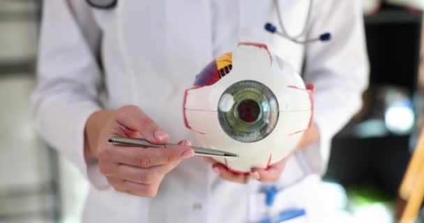 Γιατρός Οφθαλμίατρος Δείχνει Δομή Στυλό Του Ματιού Ανατομικό Μοντέλο Closeup — Αρχείο Βίντεο