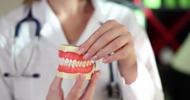 Doctor Dentist Holding His Hands Artificial Model Human Jaw Closeup — Vídeo de stock
