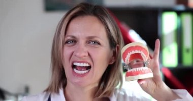 Kadın doktor çenenin anatomik modelini gösteriyor, yakın plan. Diş protezleri, klinik, dişçilik