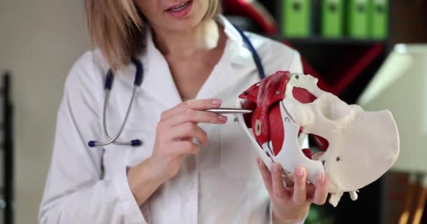Ärztin Zeigt Das Beckenmodell Eine Nahaufnahme Muskeln Weiblicher Organe Medizinische — Stockvideo
