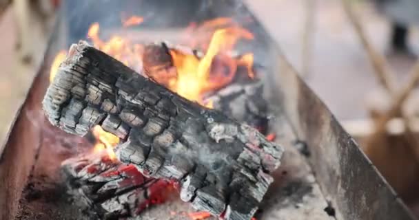 Legna Ardere Bruciata Braciere Futuri Kebab Cucina Primo Piano Film — Video Stock