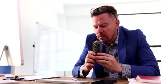 Businessman Sniffing Sharp Cactus Pricking His Nose Movie Suffering Curiosity — Stock Video