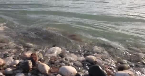 Říční Pobřeží Kameny Oblázky Slunečného Dne Rocky Beach Koncept — Stock video