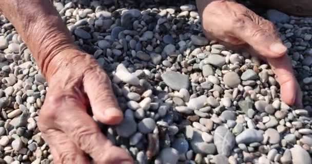 Руки Пожилой Женщины Держат Горсть Камней Пляже Дары Природы Сила — стоковое видео