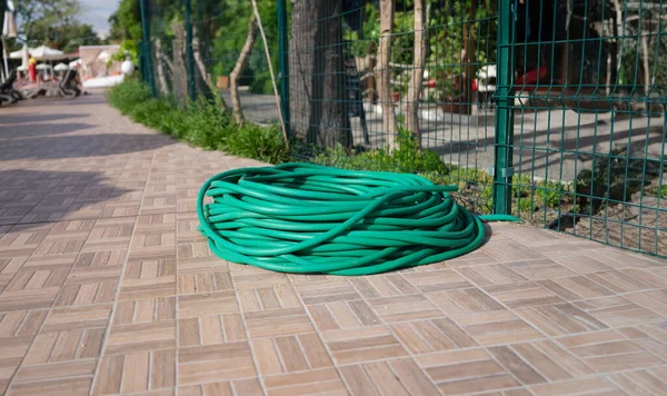 Twisted green rubber hose for watering plants lying on sidewalk. Plant watering device concept