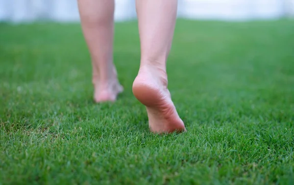 Bare feet walking on green grass in morning closeup. Healthy lifestyle concept