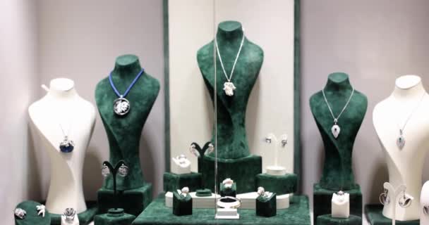 Fashion Boutique Showcase Jewelry Made Precious Metals Silver Gold Jewelry — Stock Video