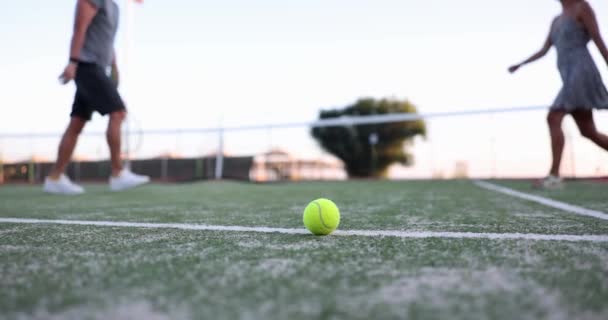 男子和女子网球选手在网球场中央以球和网为背景握手 打网球和网球礼仪概念的完成 — 图库视频影像