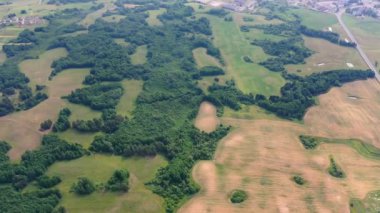 Güzel yeşil orman ve tarlalar manzaralı. Manzaralı yeşil orman doğa gezisi.