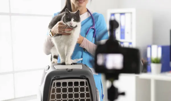 Woman veterinarian holding cat and filming in clinic. Online advice for treating pets concept