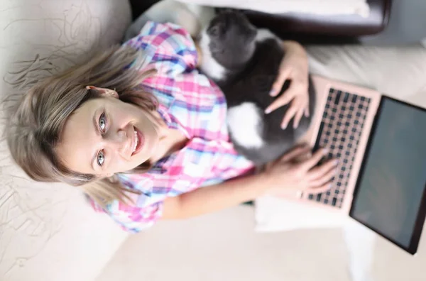 Woman Cat Sitting Sofa Laptop Top View Telework Concept Stock Image