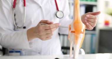 Doktor dizin tıbbi anatomik modelini gösteriyor. Yakın çekim, yavaş çekim. Danışmanlık romatolog cerrahı