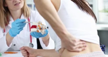 Doktor bel omurunun anatomik modelini tutuyor, ağır çekimde. Bir cerraha muayene, şiddetli sırt ağrısı.