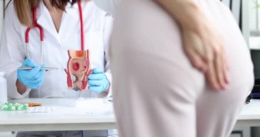 The doctor holds an anatomical model of the anus with hemorrhoids, slow motion. Consultation with a proctologist surgeon