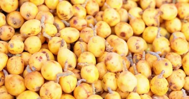 Fruta Pipa Madura Amarela Muitos Loquat Vista Lateral Eriobotrya Japonica — Vídeo de Stock