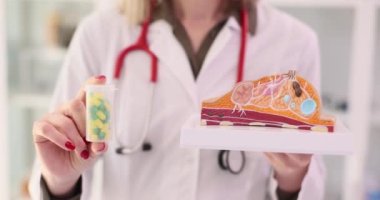 Doktor kadın göğüs ve tabletlerinin anatomik modelini tutuyor. Yakın plan. Göğüs hastalığı, tedavi